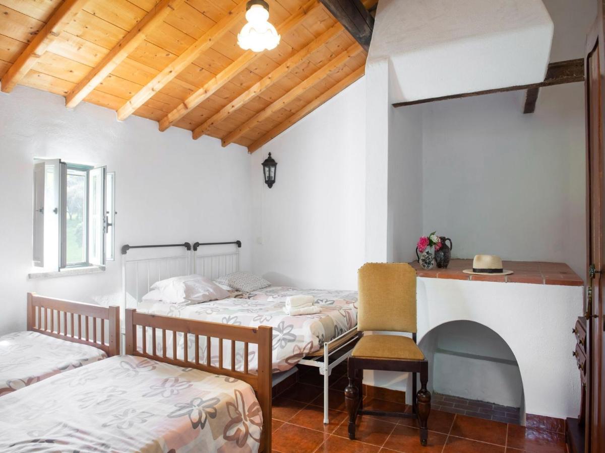 Вілла House With Authentic Tiling And Antique Furniture Монтемор-у-Нову Екстер'єр фото